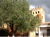 TOUR A MARRUECOS DESDE MADRID SEMANA SANTA_ 010.jpg